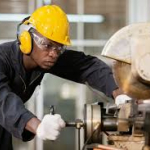 Élagage Expert - Soin des Arbres et Arbustes