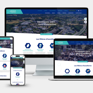 Rédaction de livres blancs professionnels engageants
