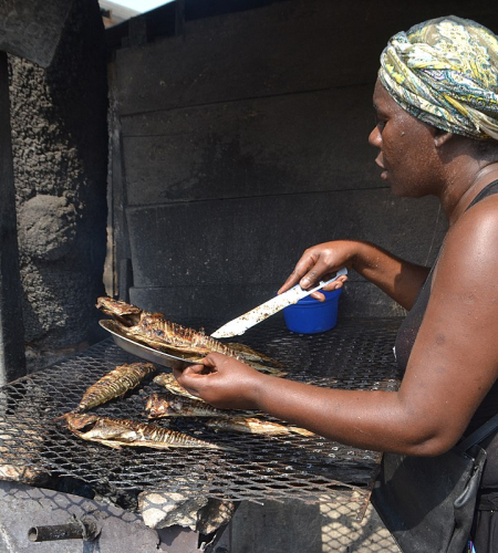 Nature et Harmonie - Paysagistes Créatifs