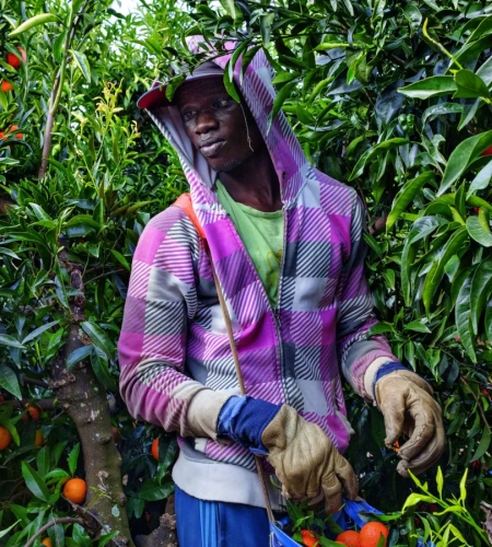 Cyber Angels - Protection et Assistance Digitale